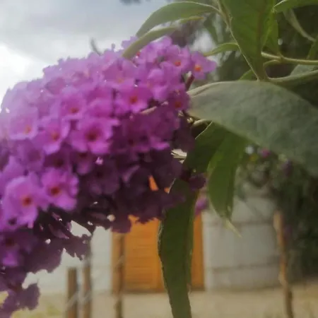 Jurta Οργανωμένο κάμπινγκ Balatongyörök