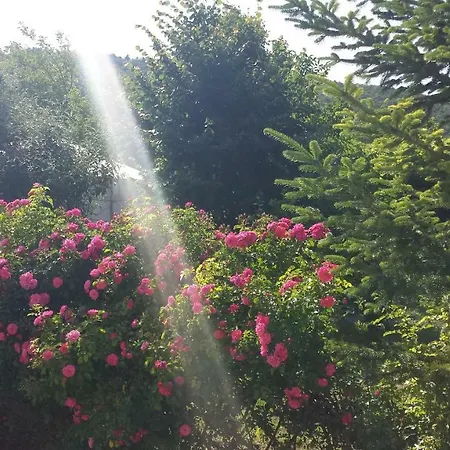 Lyxtält Jurta Balatongyörök