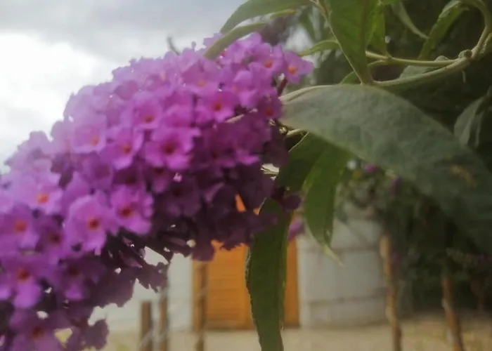 Jurta خيمة فخمة Balatongyörök