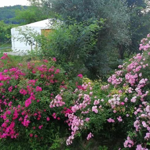 Lyxtält Jurta Balatongyörök