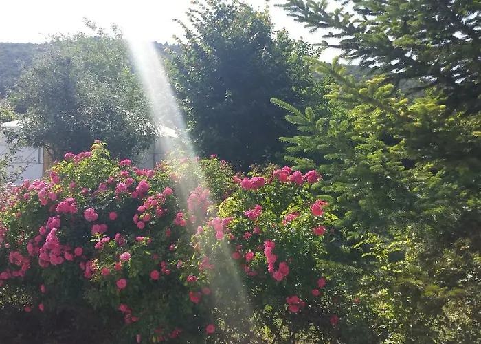 Lyxtält Jurta Balatongyörök